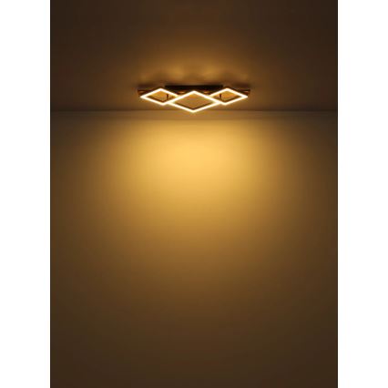 Globo - LED Plafondlamp LED/24W/230V