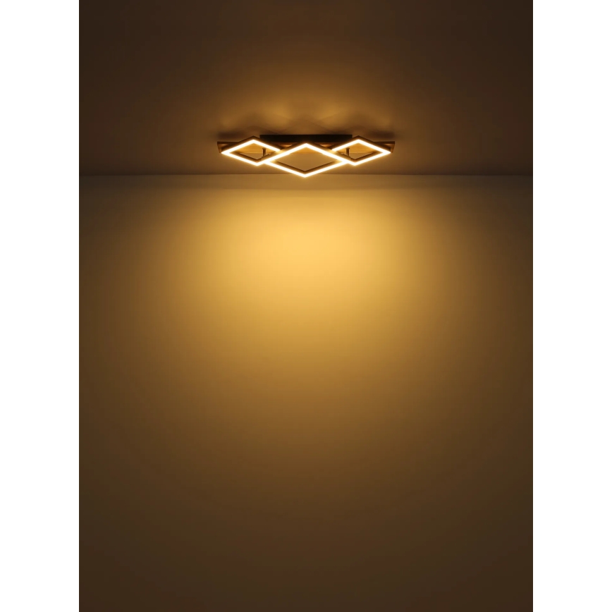 Globo - LED Plafondlamp LED/24W/230V