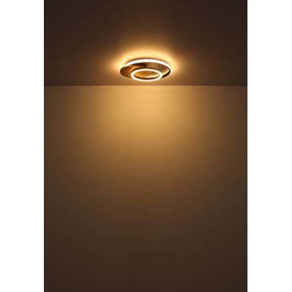 Globo - LED Plafondlamp LED/24W/230V zwart