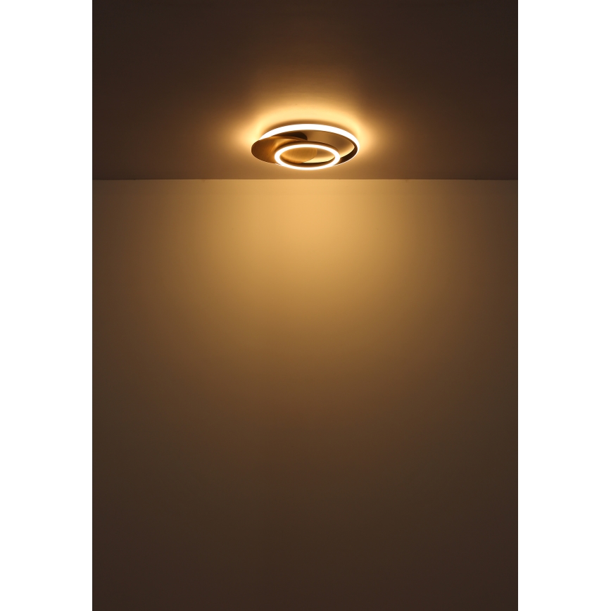 Globo - LED Plafondlamp LED/24W/230V zwart