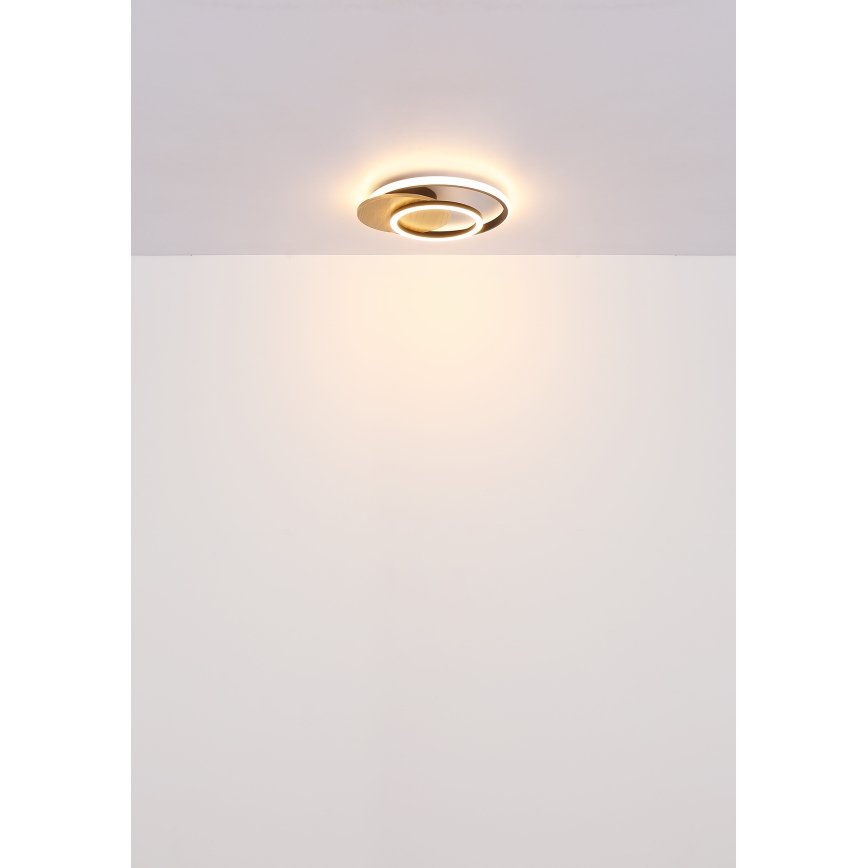 Globo - LED Plafondlamp LED/24W/230V zwart