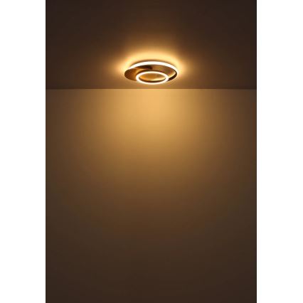 Globo - LED Plafondlamp LED/24W/230V