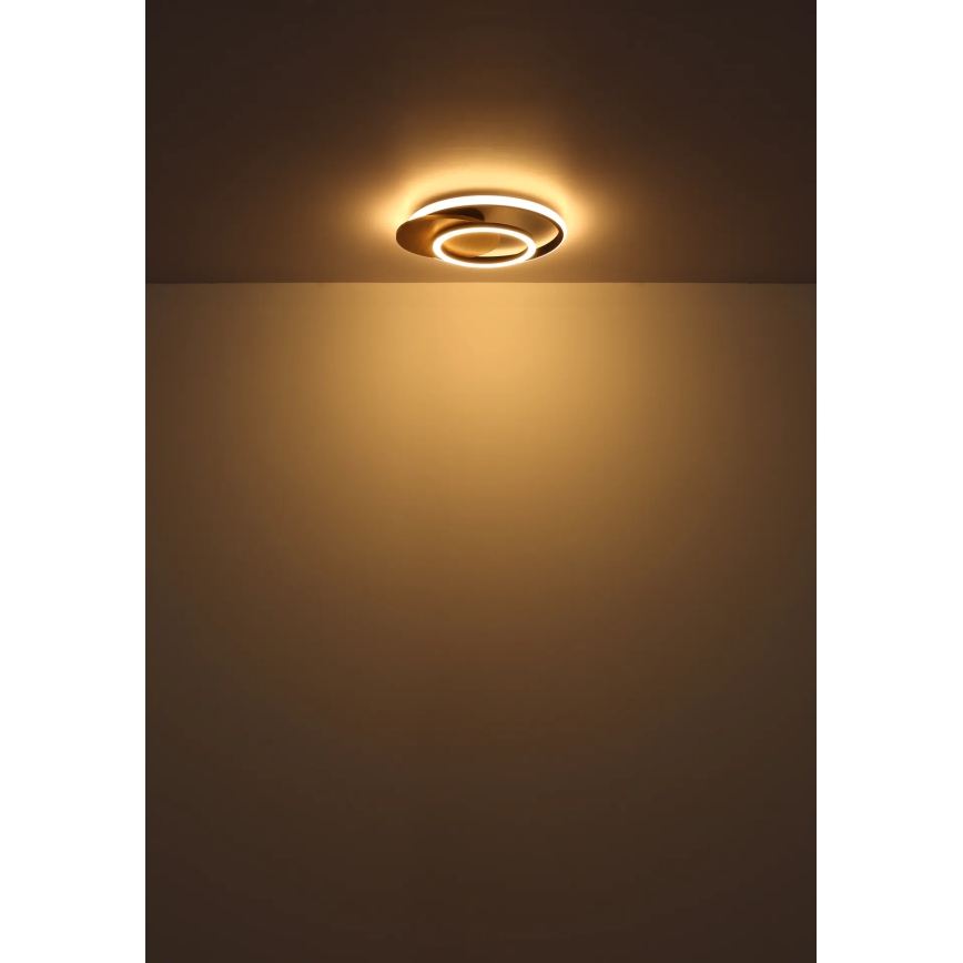 Globo - LED Plafondlamp LED/24W/230V