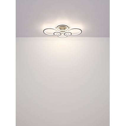 Globo - Dimbare LED Plafondlamp LED/60W/230V 2700-6000K 56x78 cm antraciet + afstandsbediening