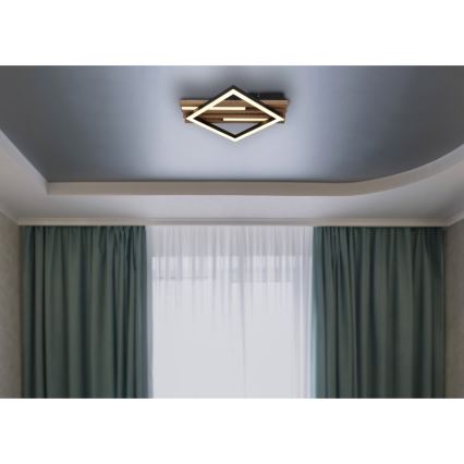 Globo - LED plafondlamp LED/12W/230V + LED/7W 3000K 31x33 cm