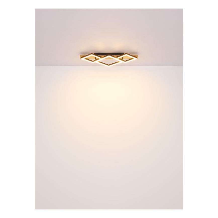 Globo - LED plafondlamp LED/32W/230V 3000K 31x61cm