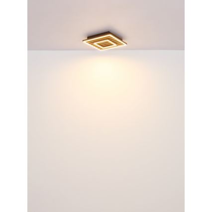 Globo - LED plafondlamp LED/18W/230V 3000K 30x30 cm
