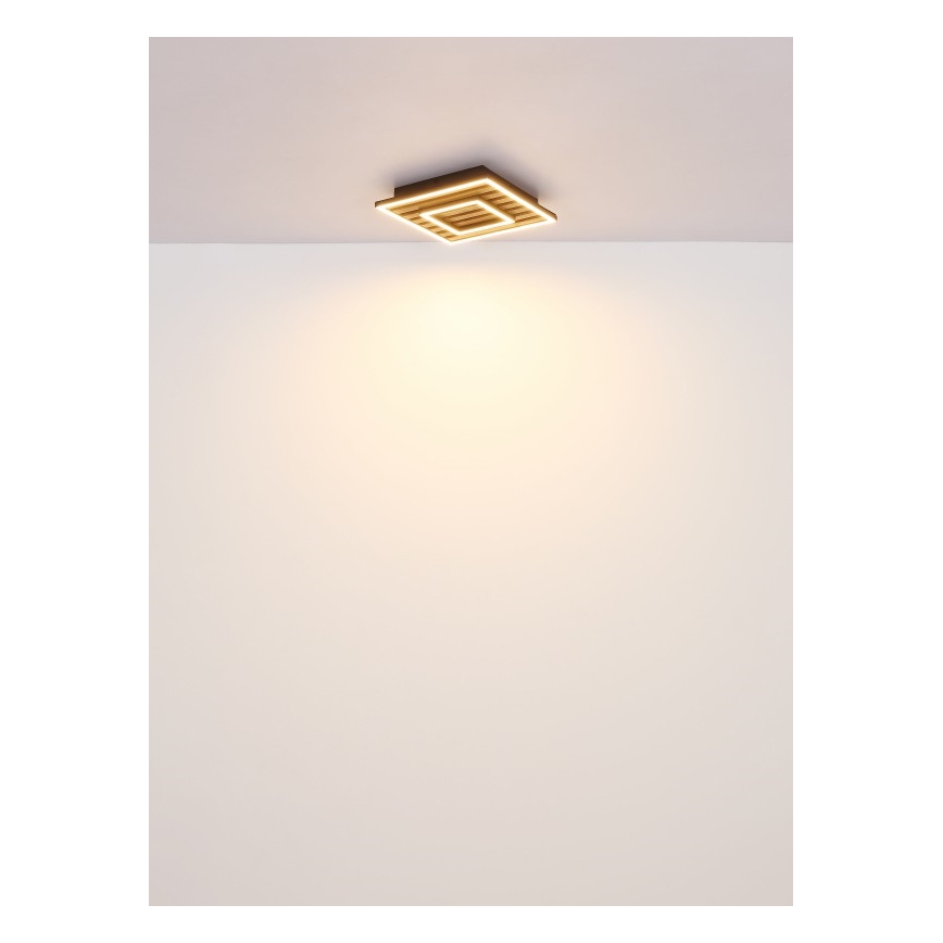 Globo - LED plafondlamp LED/18W/230V 3000K 30x30 cm