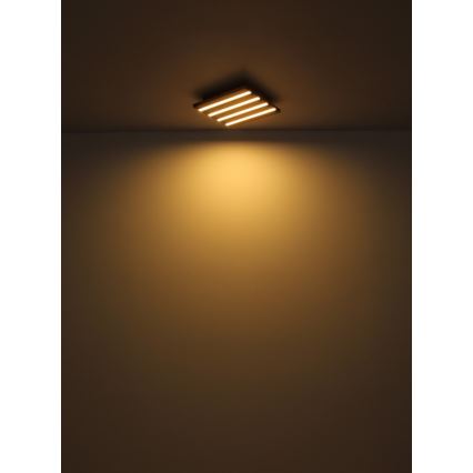 Globo - LED plafondlamp LED/30W/230V 3000K 45x45 cm hout