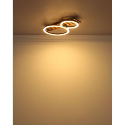 Globo - LED plafondlamp LED/18W/230V 3000K 30x48 cm