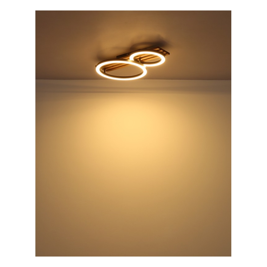 Globo - LED plafondlamp LED/18W/230V 3000K 30x48 cm