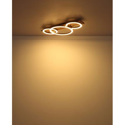 Globo - LED plafondlamp LED/24W/230V 3000K 30x62 cm
