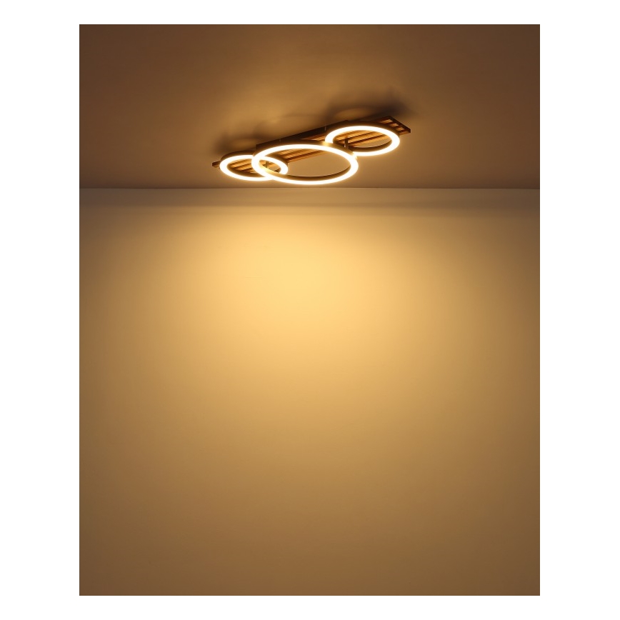 Globo - LED plafondlamp LED/24W/230V 3000K 30x62 cm