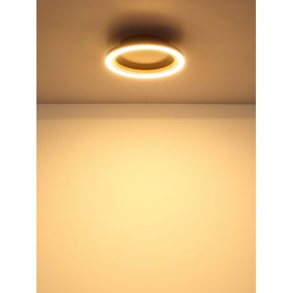 Globo - LED plafondlamp LED/12W/230V 3000K Ø 20,5 cm
