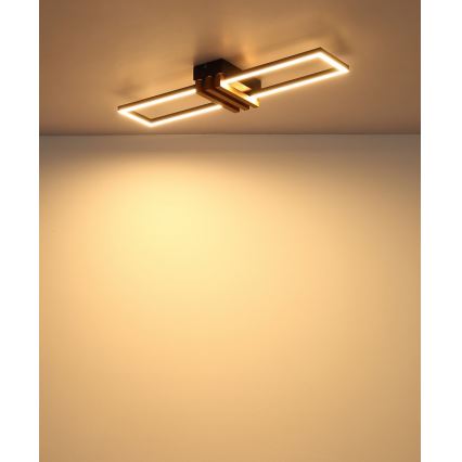 Globo - LED-plafonnière LED/20W/230V 3000K 60x16,8 cm