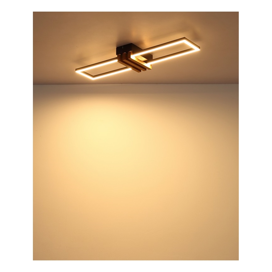 Globo - LED-plafonnière LED/20W/230V 3000K 60x16,8 cm