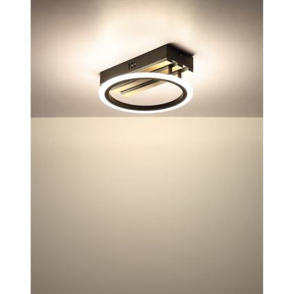 Globo - LED-plafondlamp LED/10W/230V 3000/4200/600K 25x25 cm