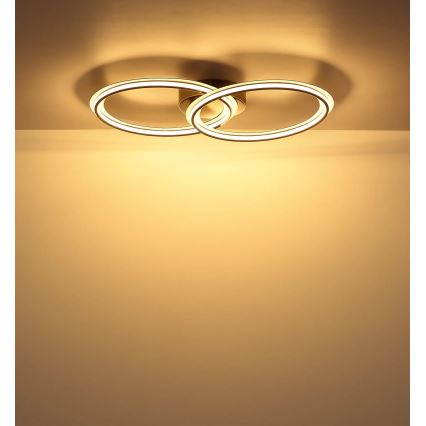 Globo - LED-plafondlamp LED/30W/230V 3000K 33x54 cm