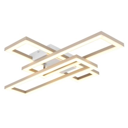 Globo - LED-plafondlamp LED/24W/230V 3000/4000/6000K