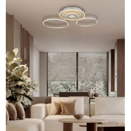 Globo - Dimbare LED-plafondlamp LED/40W/230V 2700-6500K 57x99,2 cm zilver + afstandsbediening