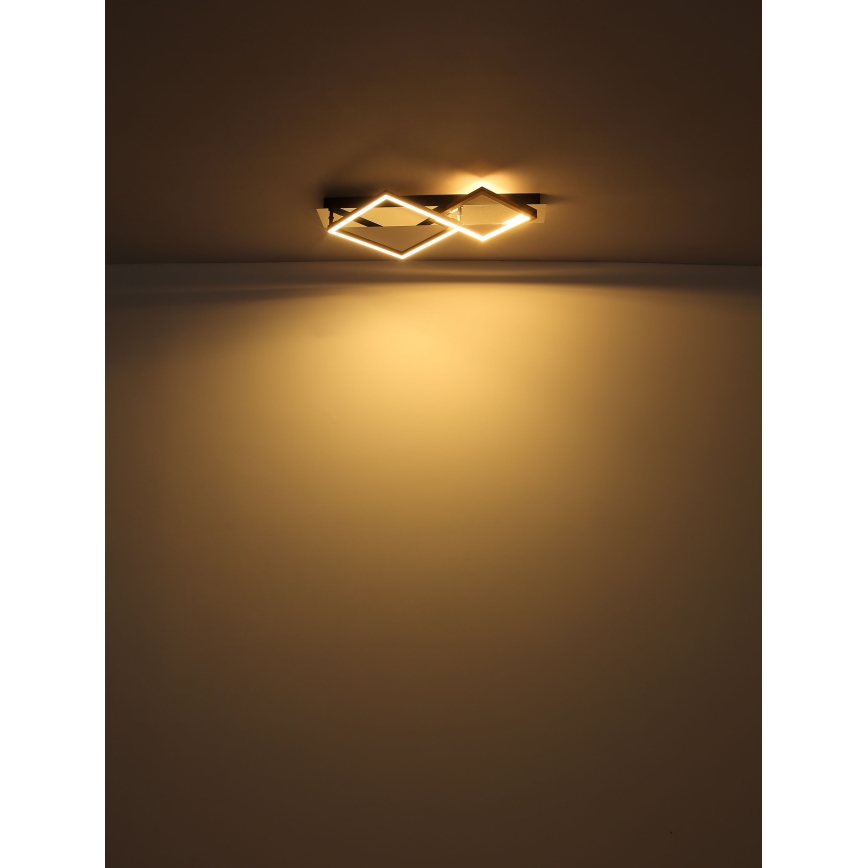 Globo - LED Plafondlamp LED/24W/230V 3000K