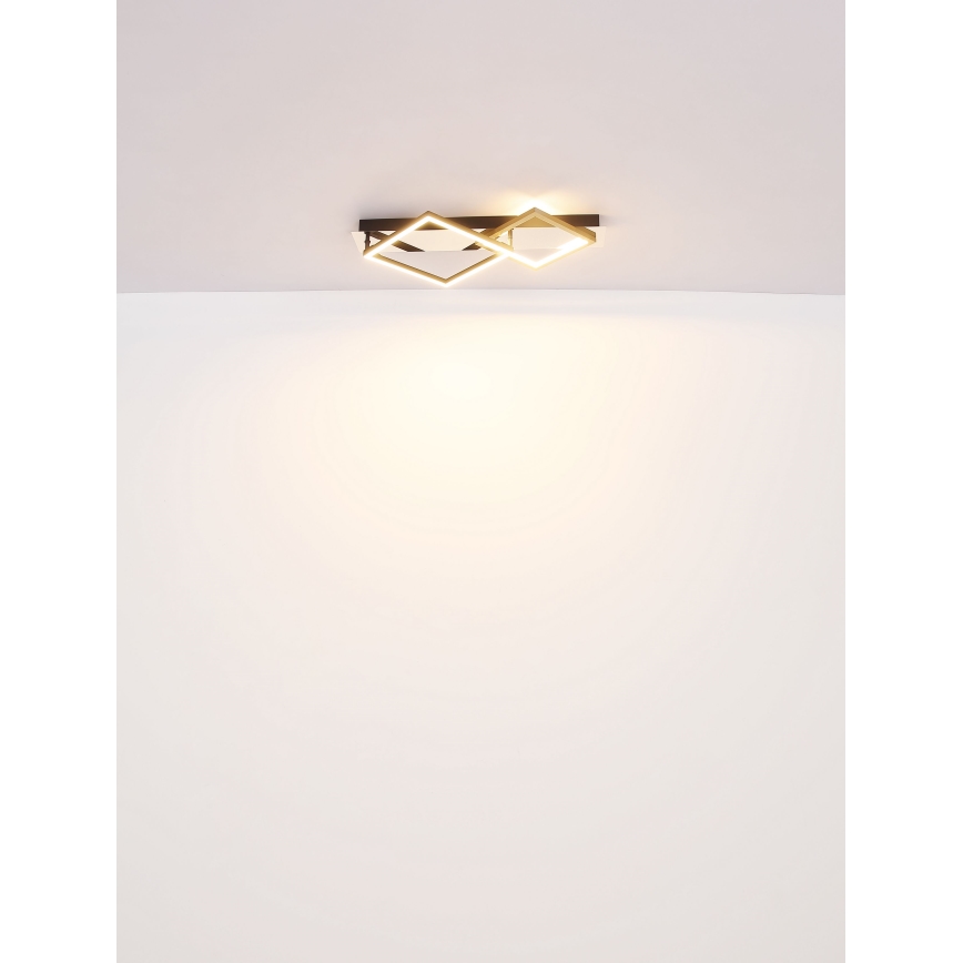 Globo - LED Plafondlamp LED/24W/230V 3000K
