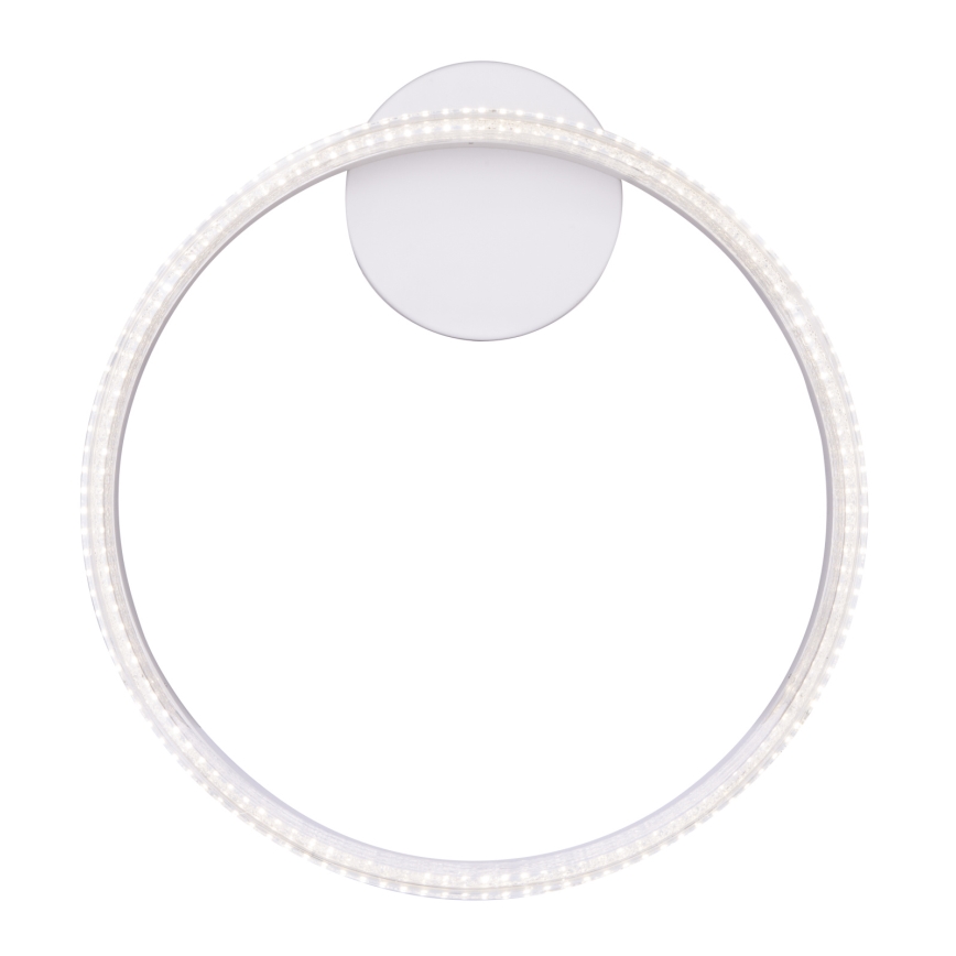 Globo - LED Plafondlamp LED / 24W / 230V