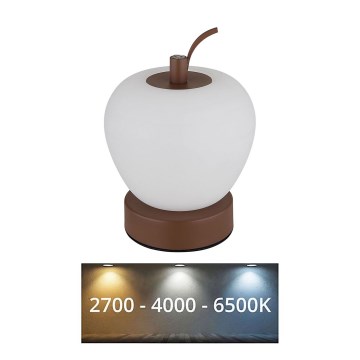 Globo - Dimbaar LED touch tafellampje LED/2W/3,7V 2700K/4000K/6500K 1200 mAh USB bruin