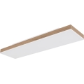 Globo - Dimbare LED-plafondlamp LED/24W/230V 2700-6500K 20x80 cm + afstandsbediening