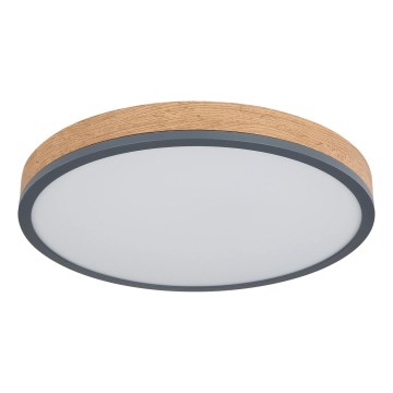 Globo - Dimbare LED-plafondlamp LED/24W/230V 2700-6500K Ø 45 cm