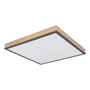 Globo - Dimbare LED-plafondlamp LED/24W/230V 3000-6500K 45x45 cm