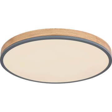 Globo - Dimbare LED plafondlamp LED/40W/230V 2700-6500K diameter 60 cm + afstandsbediening bruin/grijs