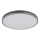 Globo - Dimbare LED-plafondlamp LED/40W/230V 2700-6500K Ø 60 cm + afstandsbediening