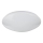 Globo - Dimbare RGB-LED plafondlamp LED/24W/230V + LED/8W 2700-6500K Ø 41 cm + afstandsbediening