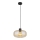 Globo - Hanglamp aan een koord 1xE27/40W/230V diameter 28 cm doorzichtig