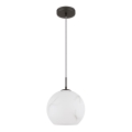 Globo - Hanglamp met kabel 1xE27/60W/230V diam. 25 cm