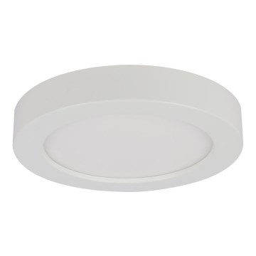 Globo - LED Badkamer plafondverlichting 1xLED/12W/230V