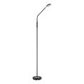 Globo - LED-dimbare staande lamp met aanraakbediening LED/6,5W/230V 2700/3350/4000K zwart