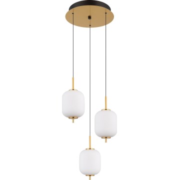 Globo - LED Hanglamp aan een koord LED/20W/230V
