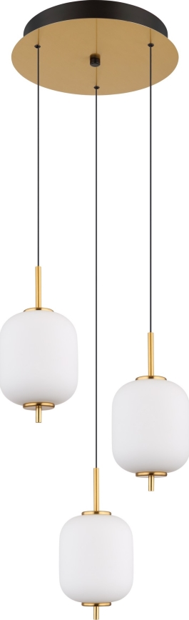 Globo - LED Hanglamp aan een koord LED/20W/230V