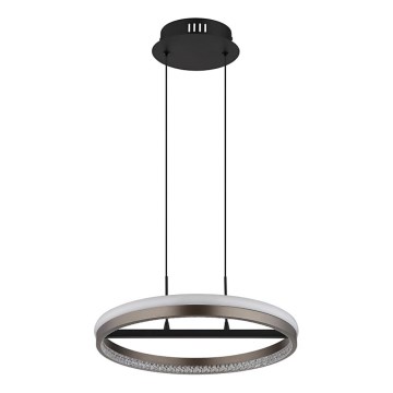 Globo - LED Hanglamp aan een koord LED/40W/230V 3000/4000/6000K diameter 39,7 cm bruin