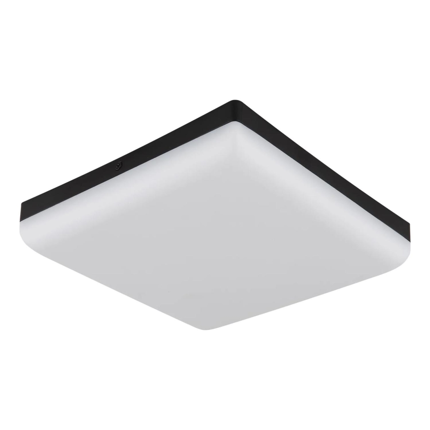 Globo - LED Plafondlamp LED/12W/230V 4000K 22x22 cm zwart