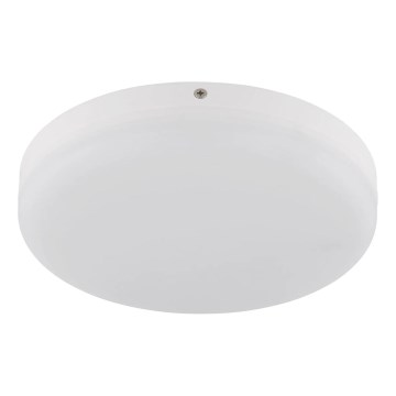 Globo - LED Plafondlamp LED/12W/230V 4000K diameter 22 cm wit