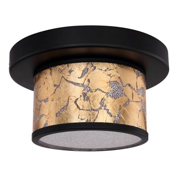 Globo - LED Plafondlamp LED/12W/230V