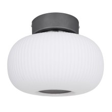 Globo - LED plafondlamp LED/12W/230V