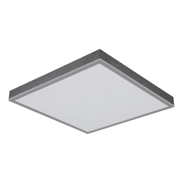 Globo - LED plafondlamp LED/24W/230V 3000K 45x45 cm