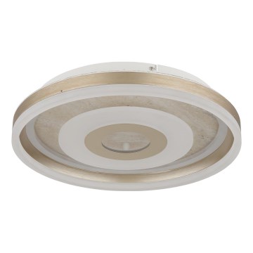 Globo - LED-plafondlamp LED/24W/230V 3000K Ø 40 cm