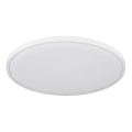 Globo - LED plafondlamp LED/32W/230V 4000K diameter 40 cm wit