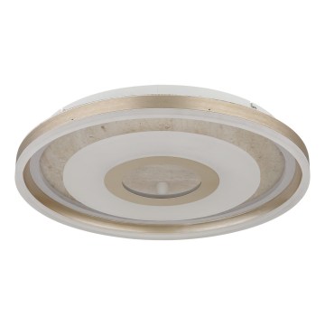 Globo - LED plafondlamp LED/40W/230V 3000K Ø 50 cm