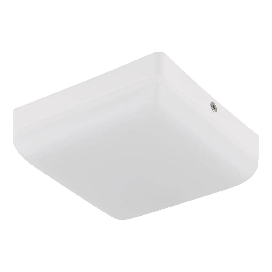 Globo - LED Plafondlamp LED/8W/230V 4000K 12x12 cm wit